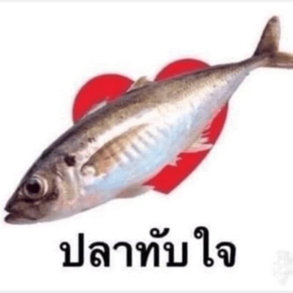 420 NPY. logo