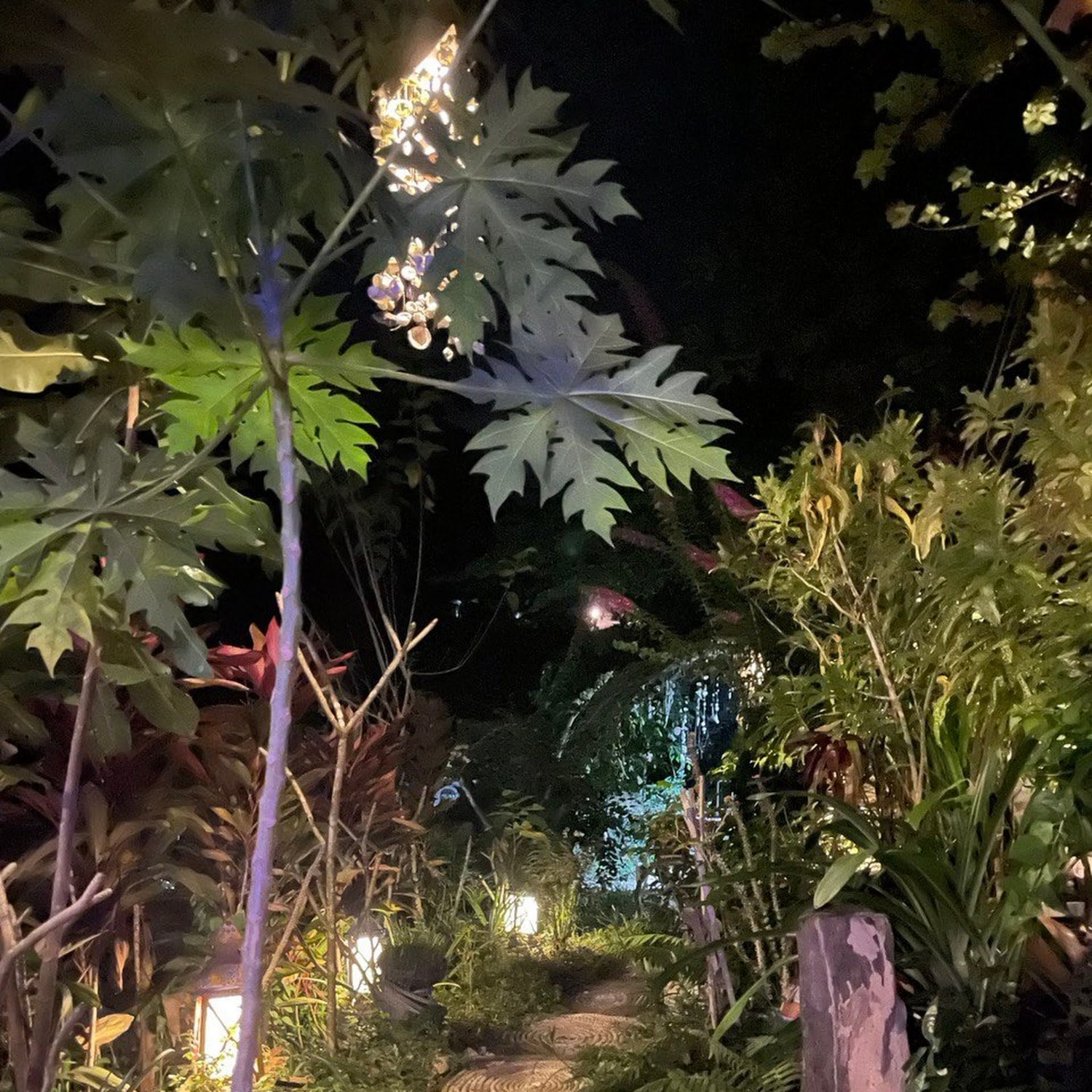 Sathanee Green