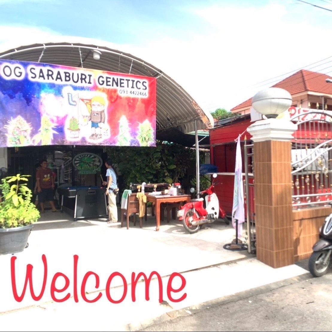OG Saraburi Genetics