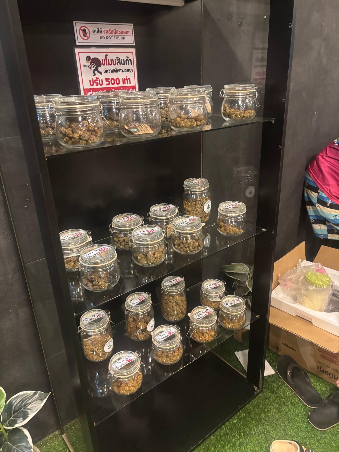 Green Power Cannabis & Kratom Chumphon