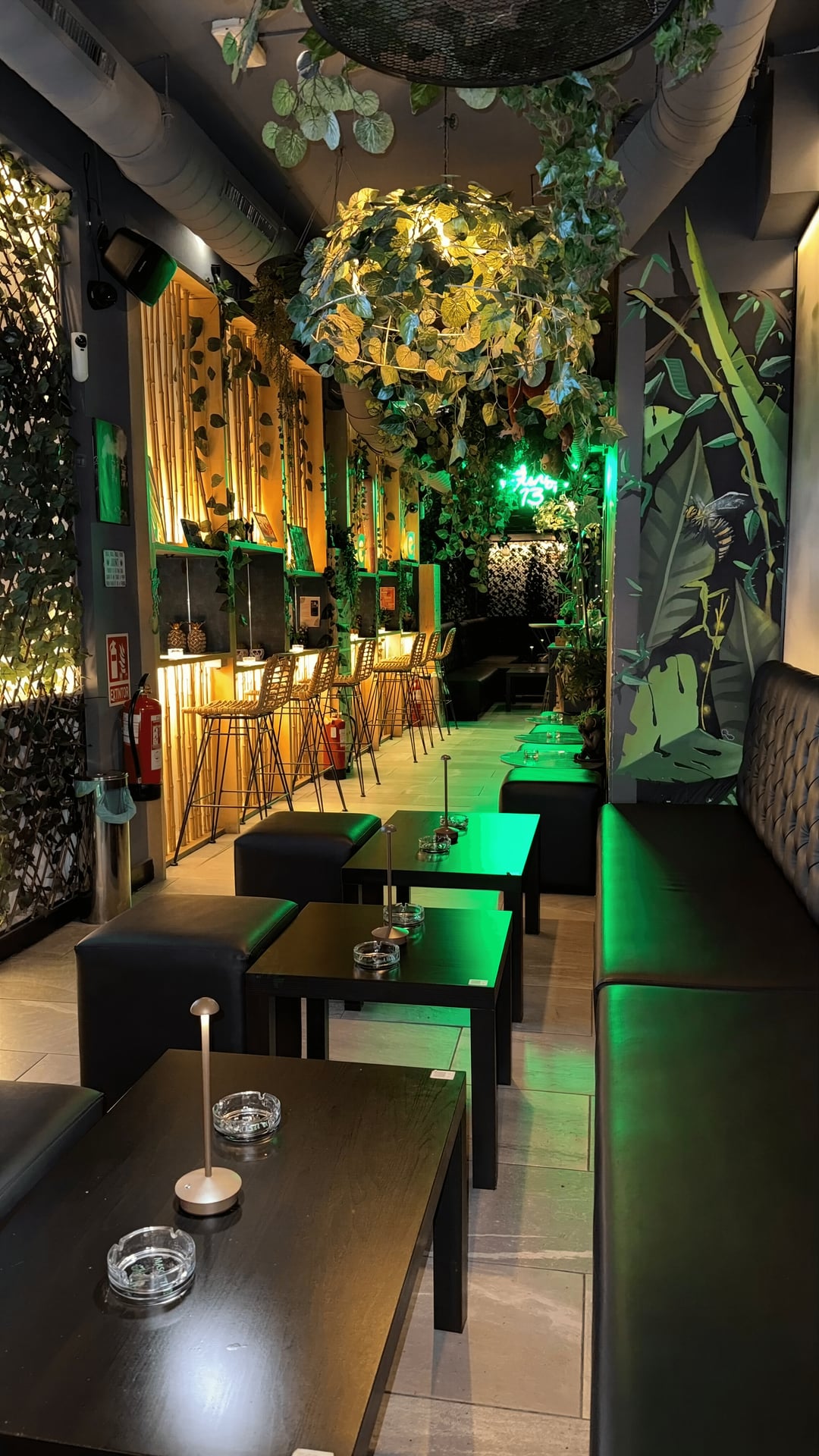 Jungle 13