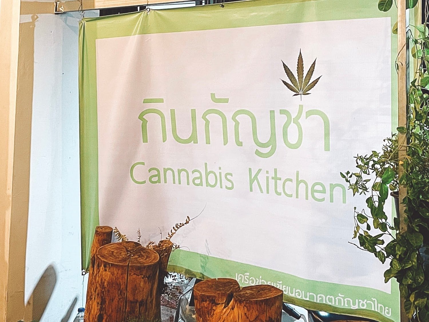 Cannabis Kitchen