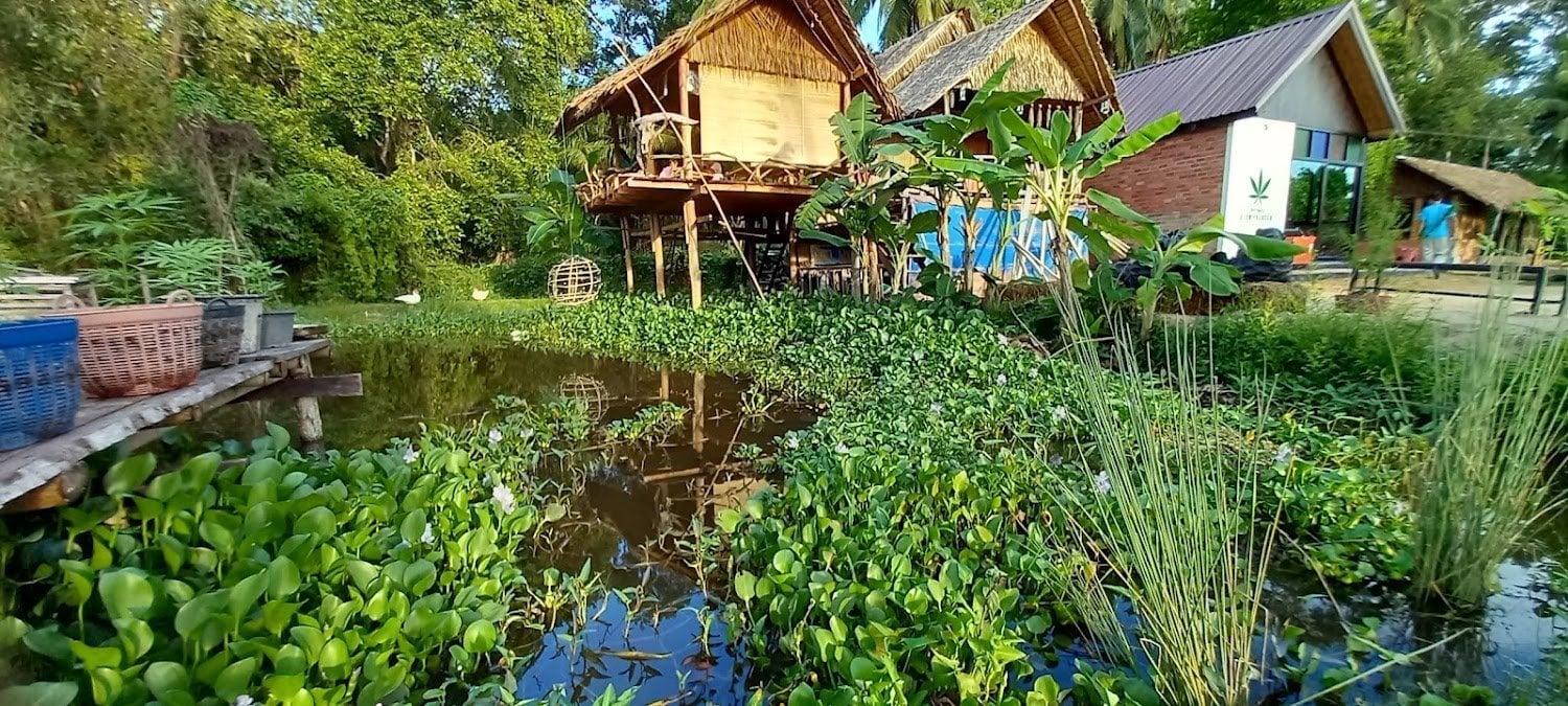 Phangan