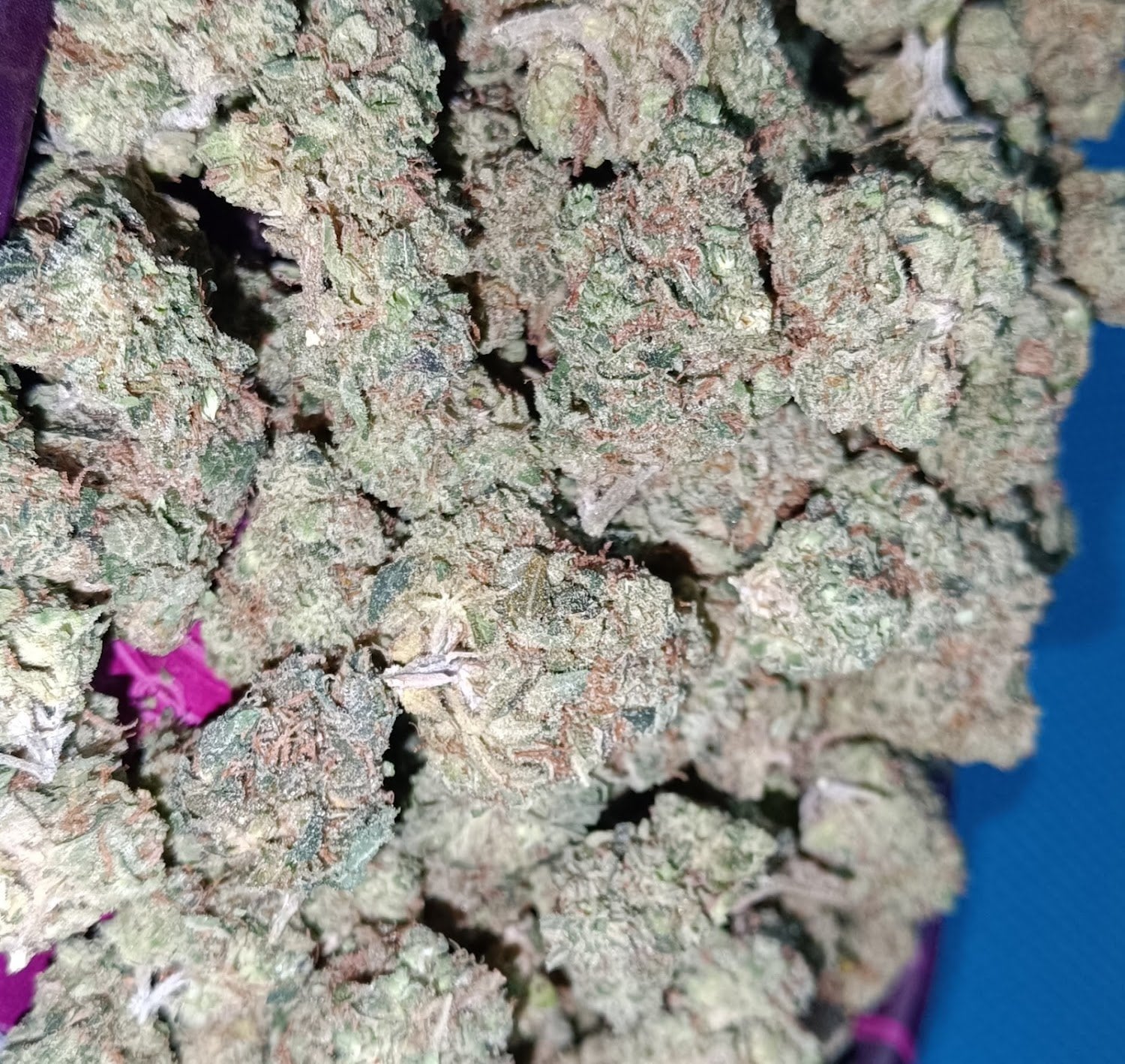 Mali Cannabis House
