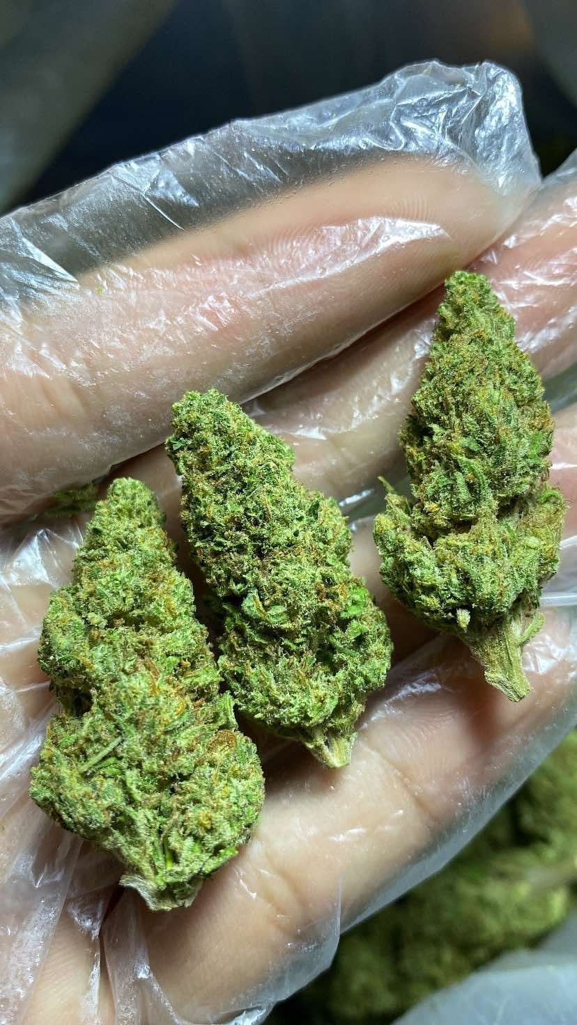 Vape Weed Online