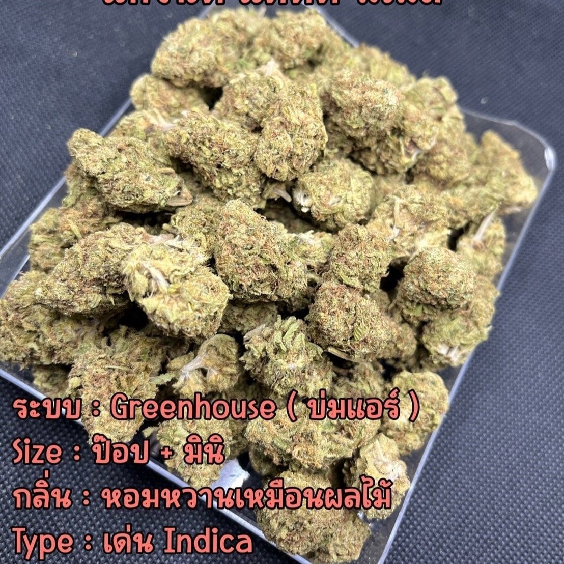 420cannabisCity