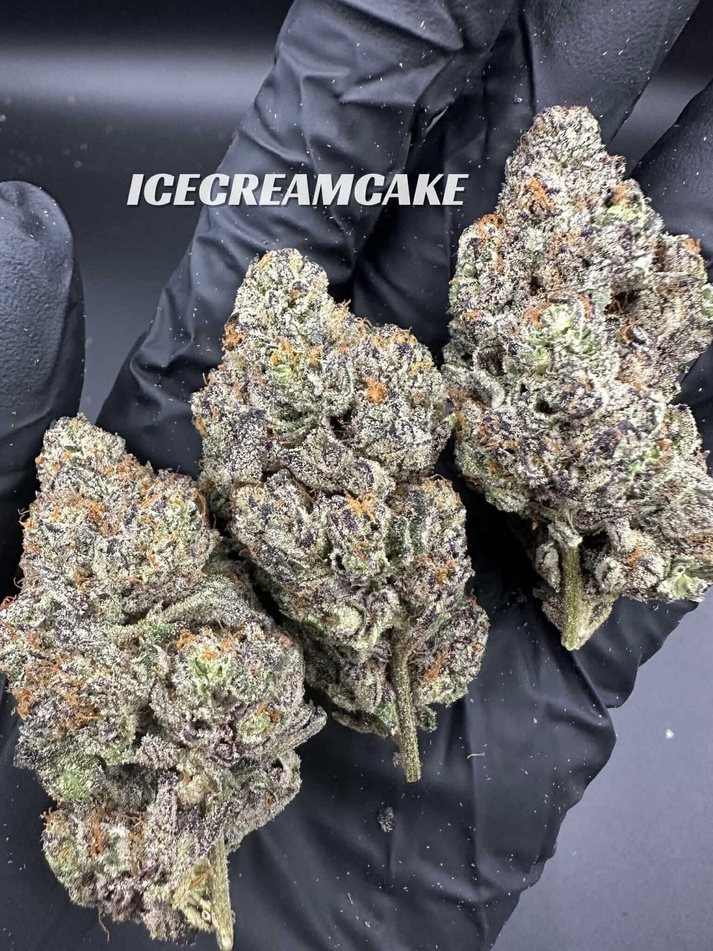 Bmmstoner420
