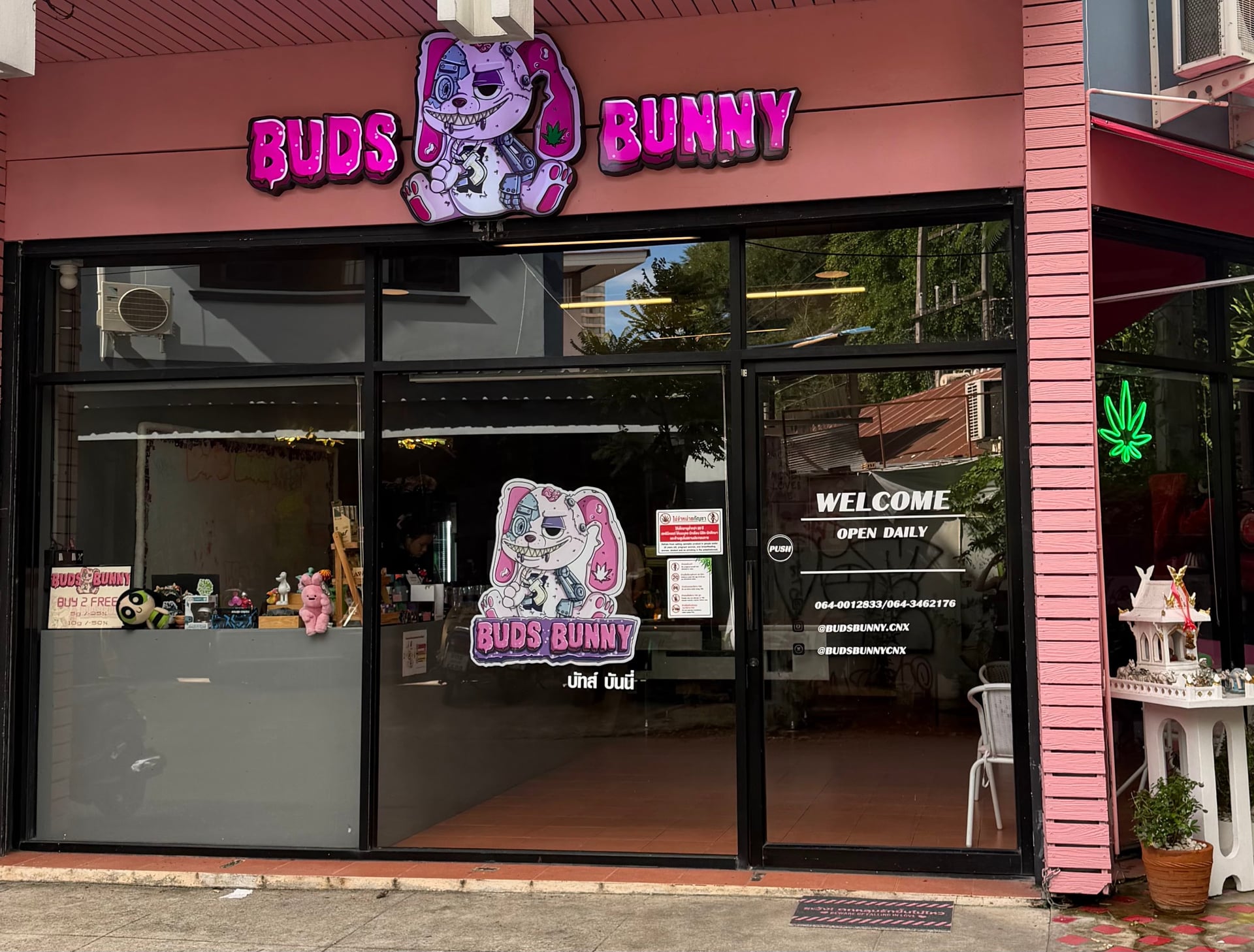 BUDS BUNNY