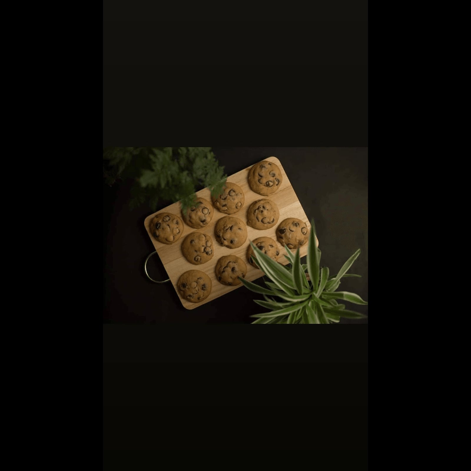 Cannabis Social Club Club 12054 logo