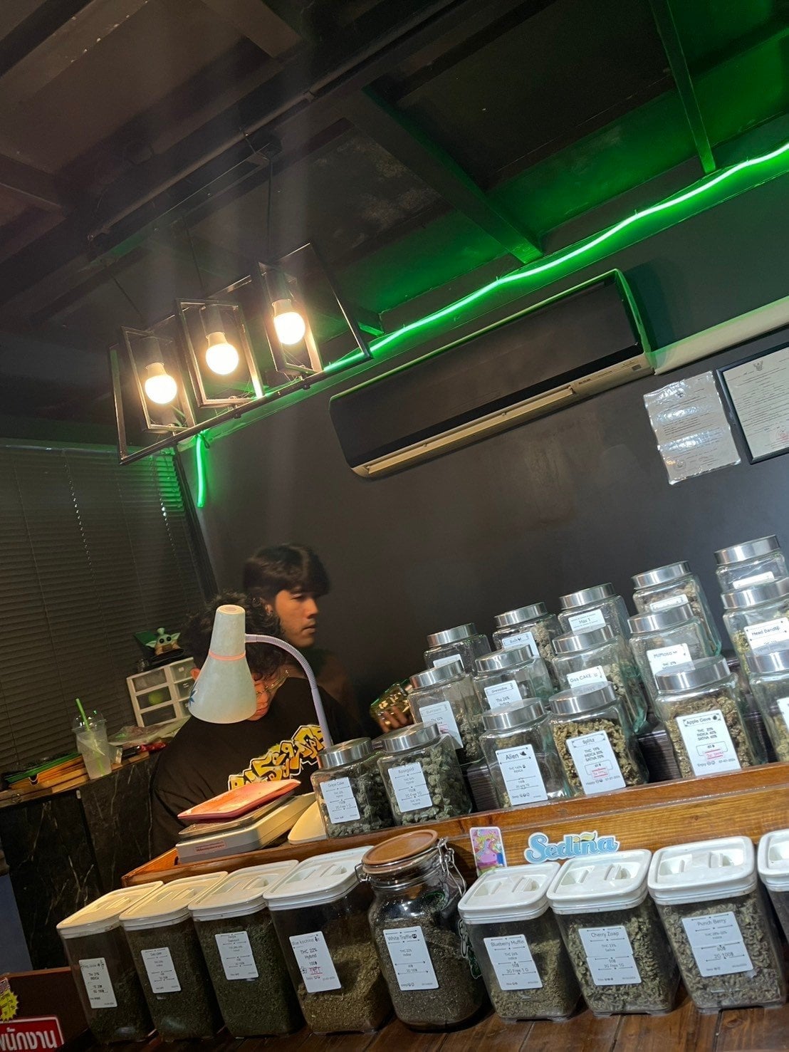 Herbalist Rangsit