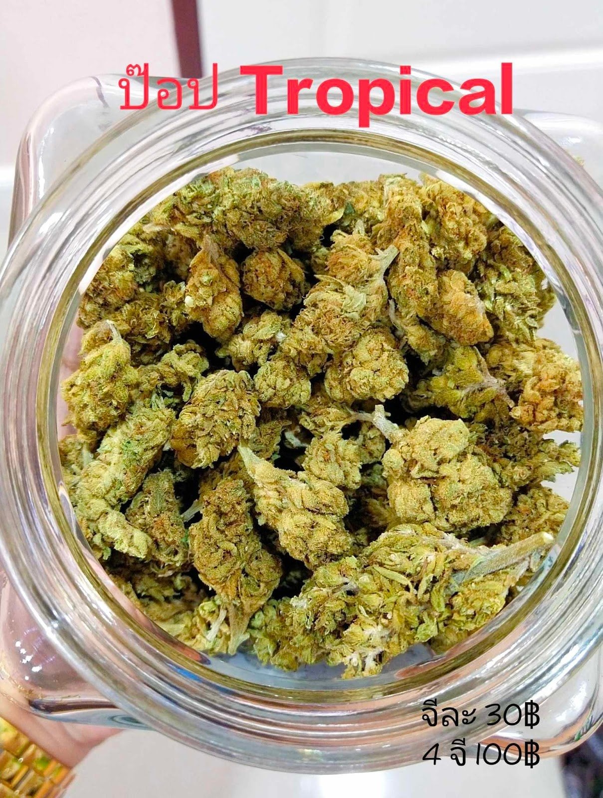 Gf.weed