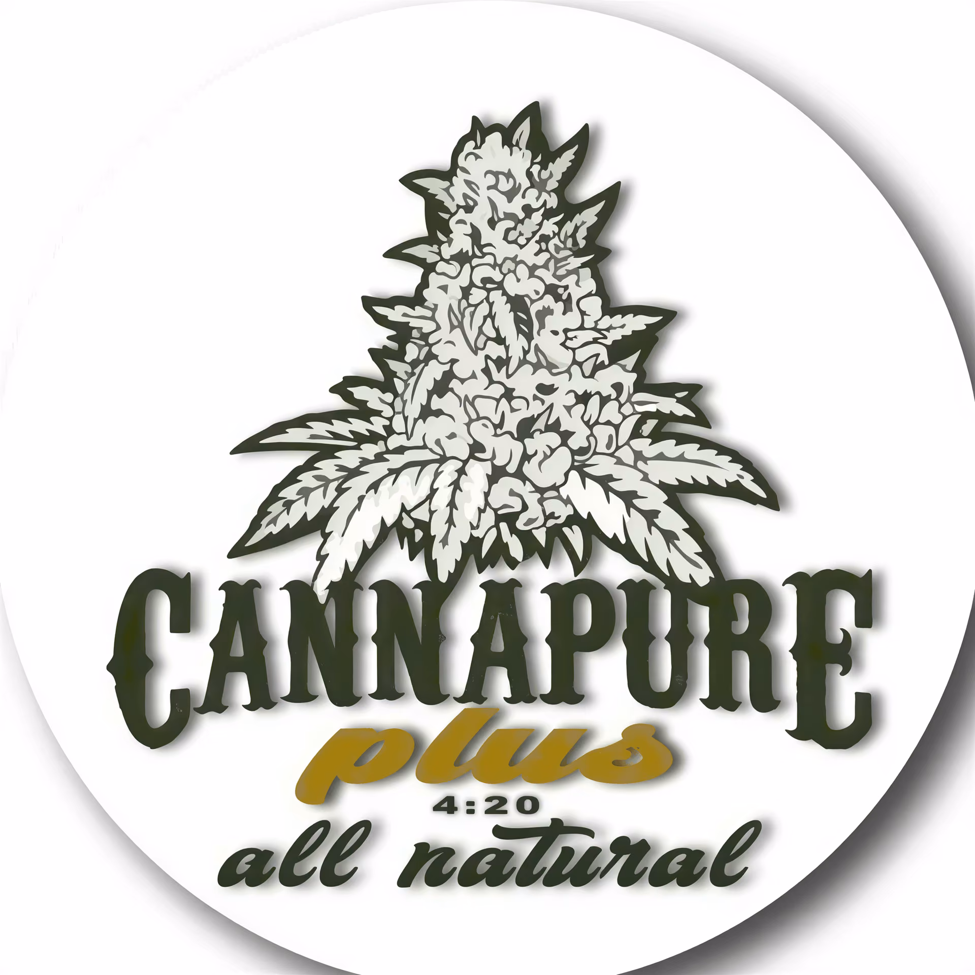 Cannapure Plus (Dullstroom)