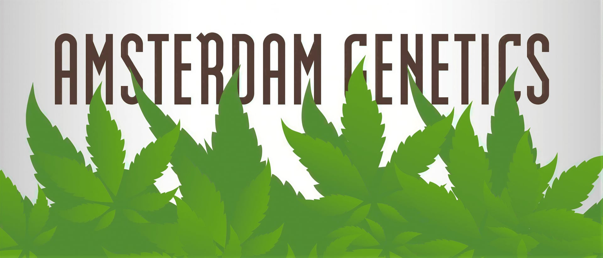 Amsterdam Genetics hero
