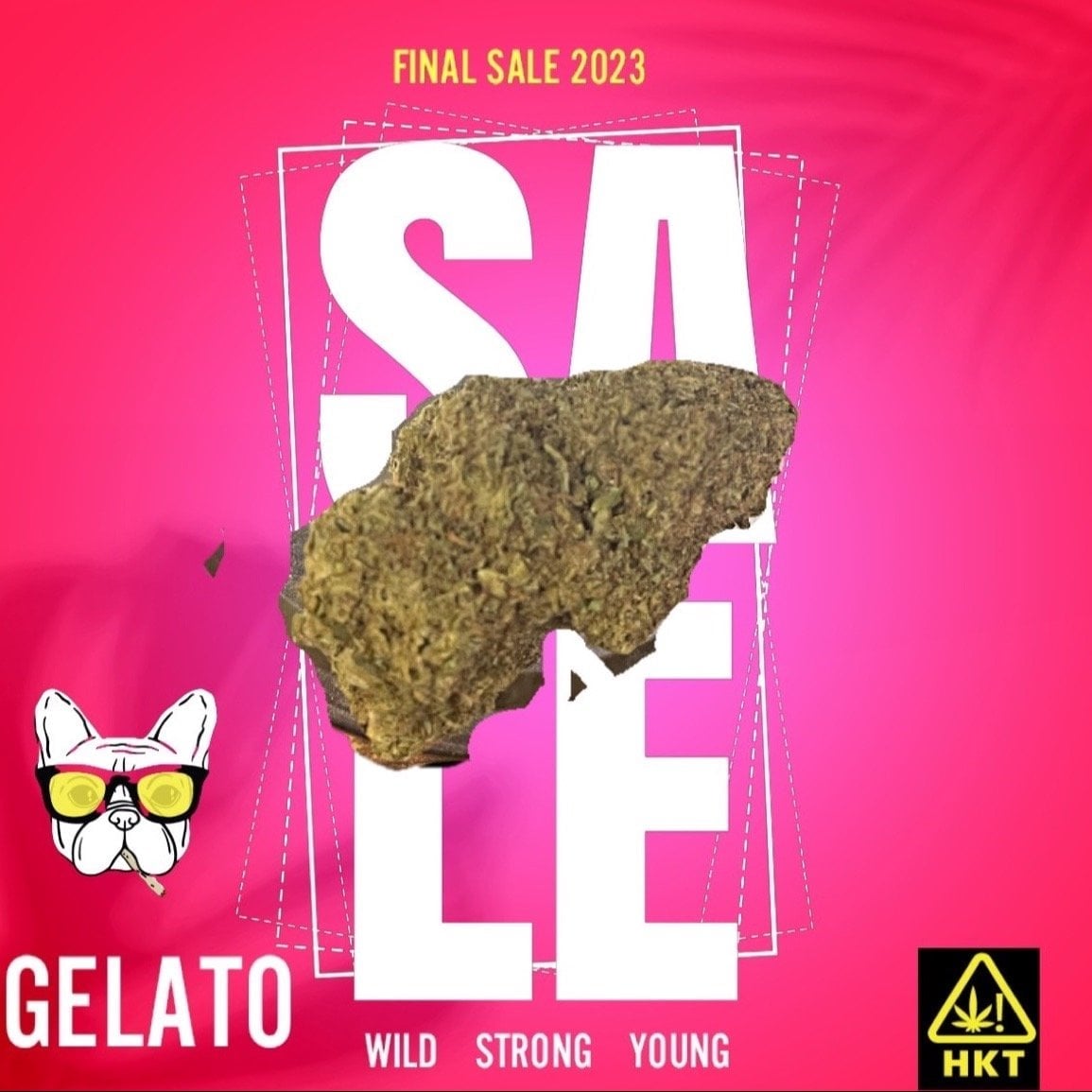 The Phuket Cannabis Club Patong