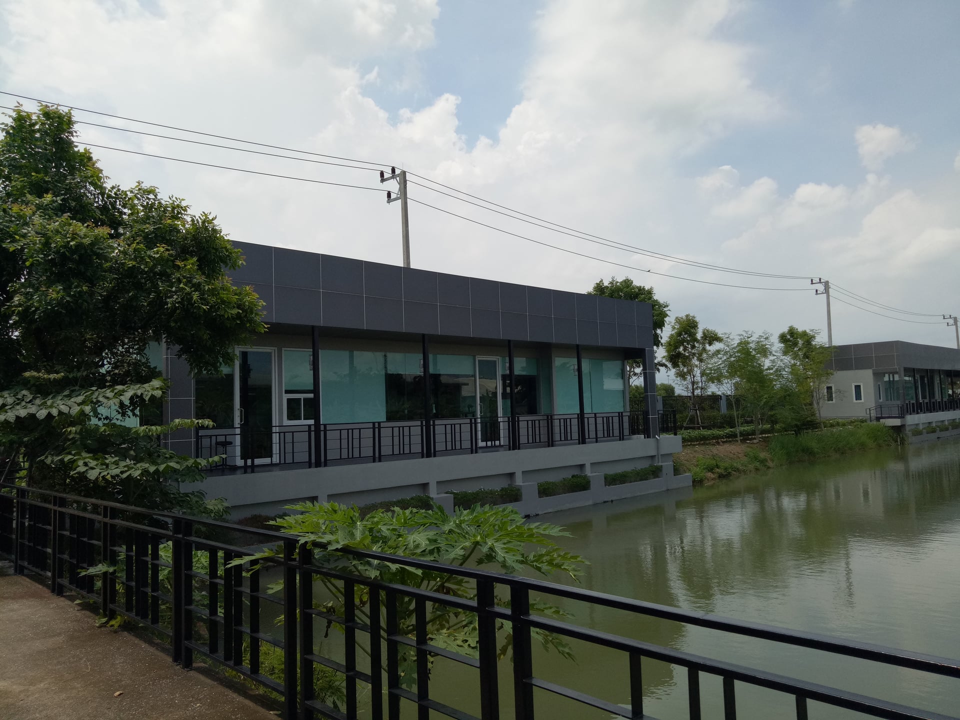 King Cannabis Center