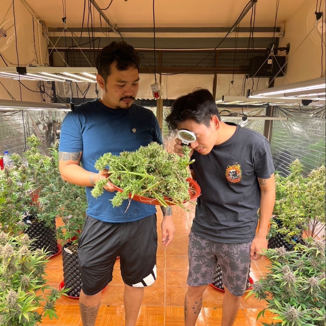 LET's Get High CNX