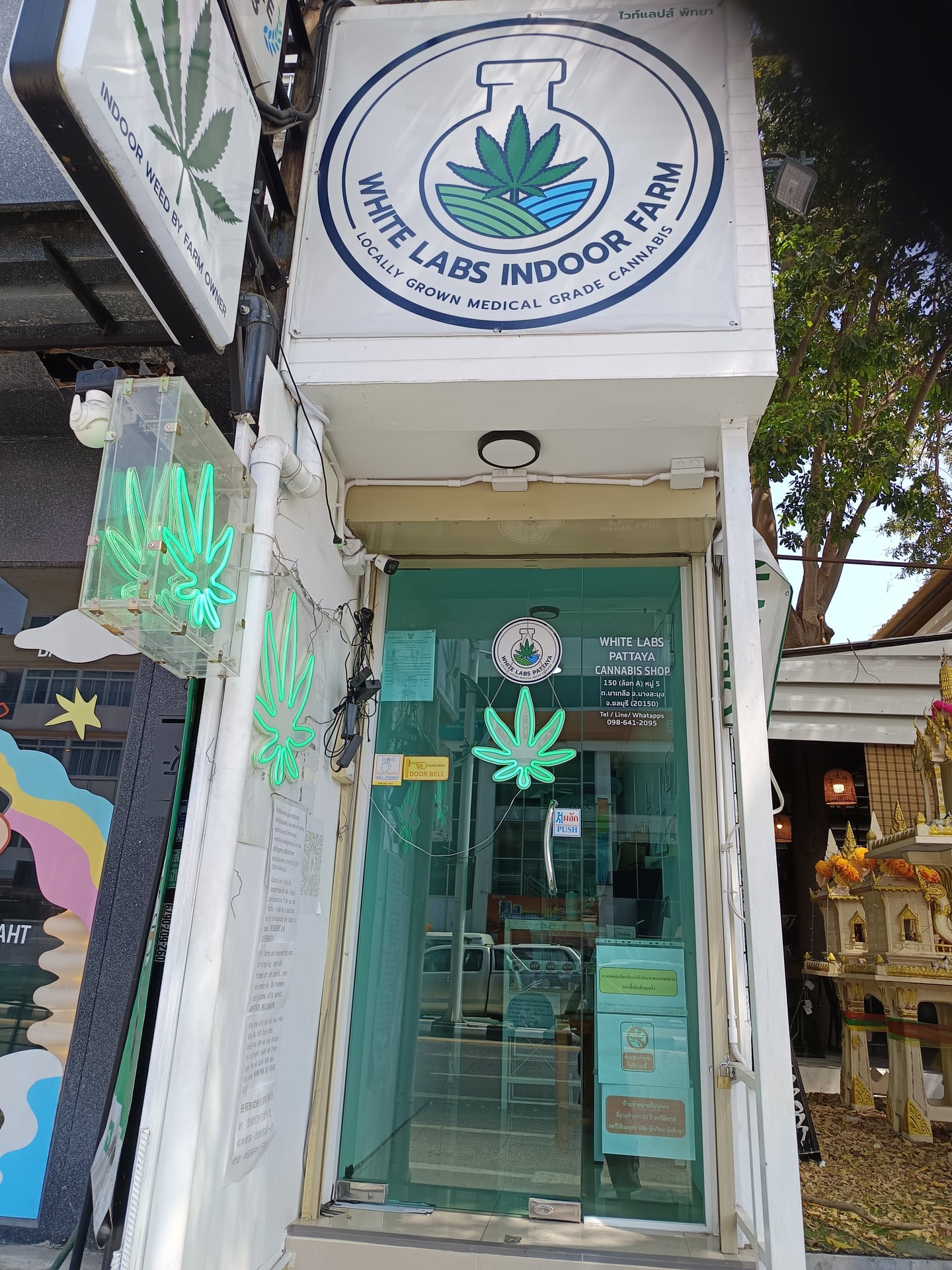 WHITE LABS PATTAYA CANNABIS SHOP By Farm Owner