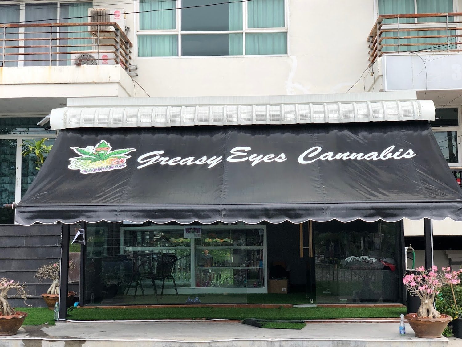 Greasy Eyes Cannabis