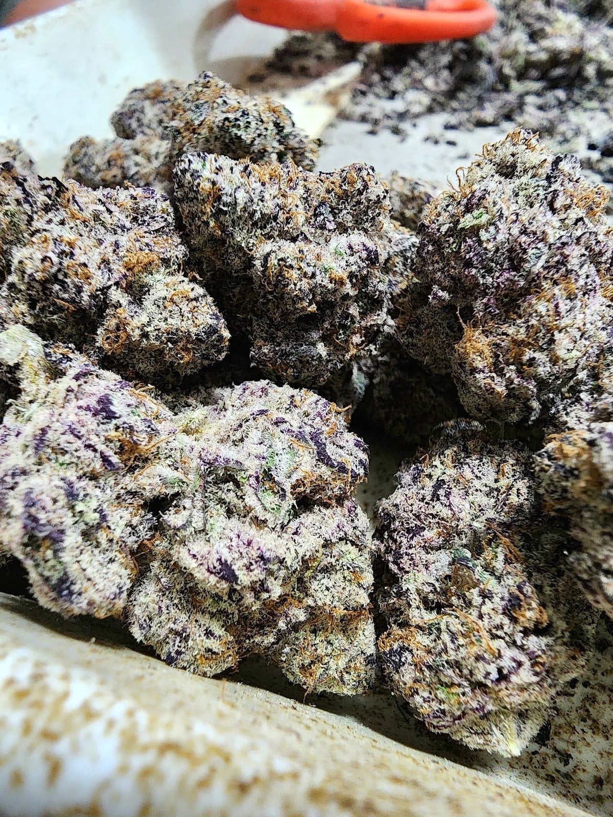 MooBin Cannabis