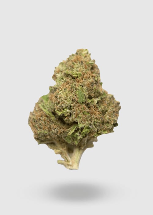 Climax Cannabis