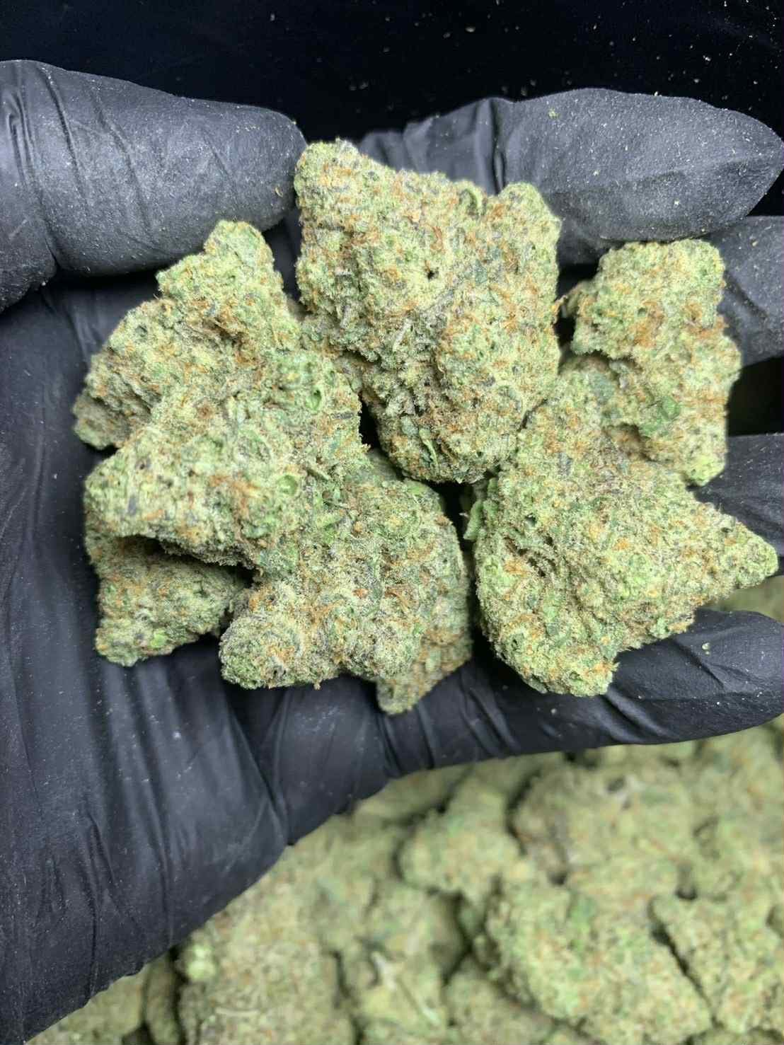 Cosmos Cannabis