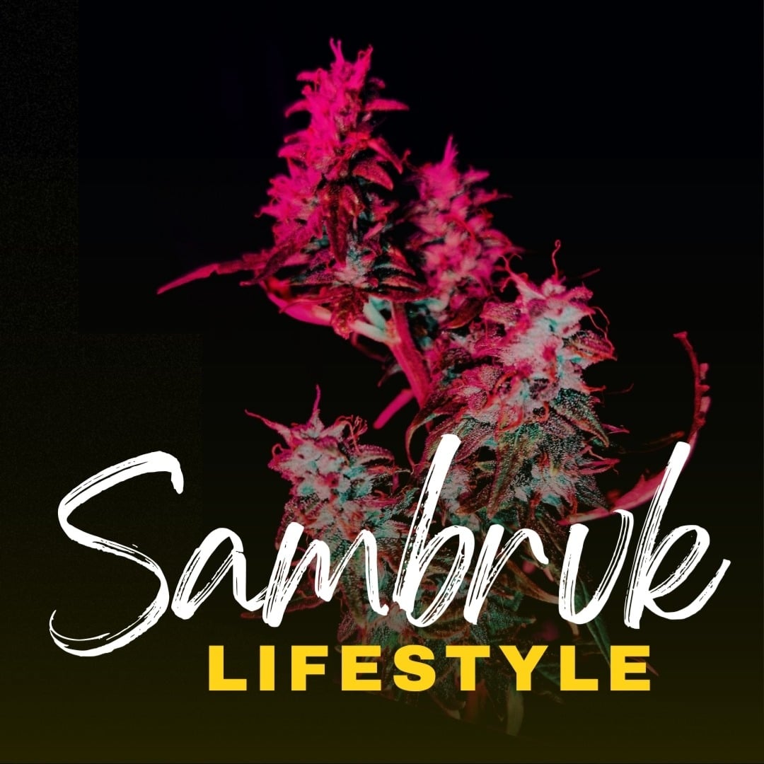 Sambrvk Kulture