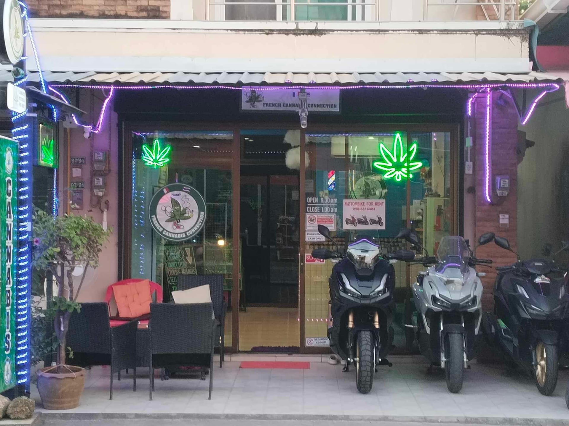 Buds Bunny Cannabis