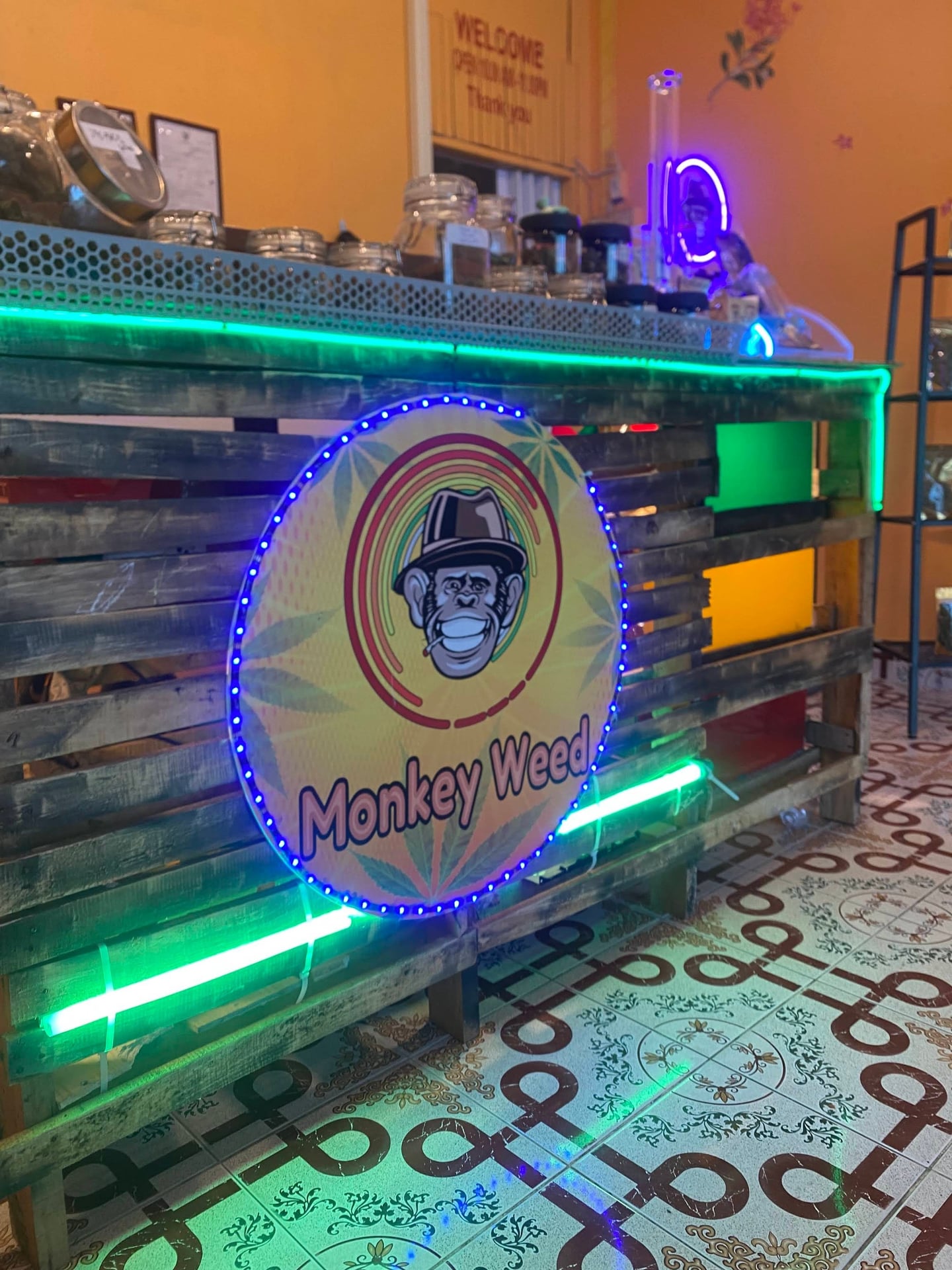 Monkey Rolling