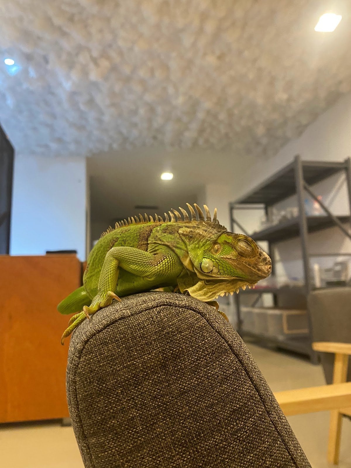 ExoticHouseCafe