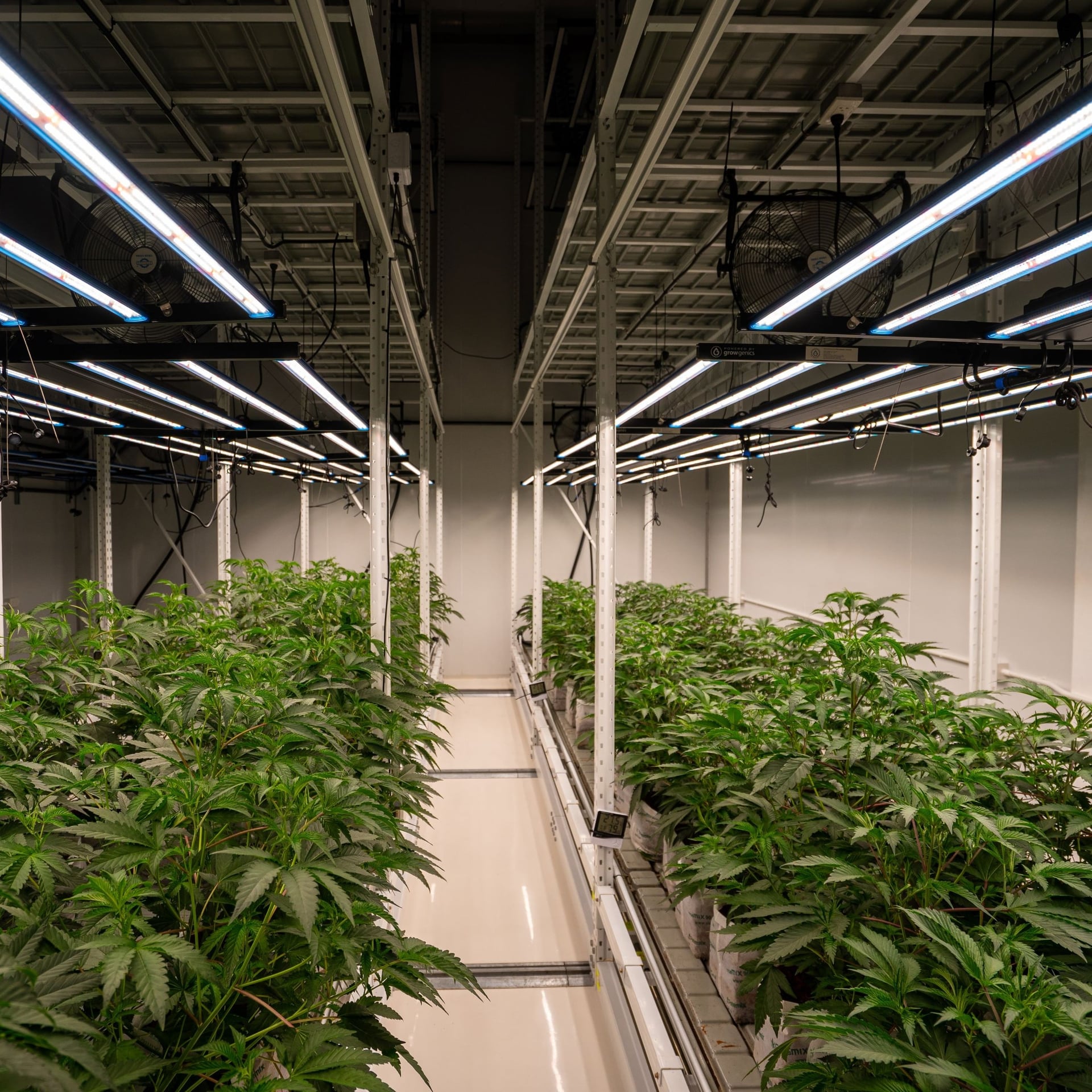 TBM Farm