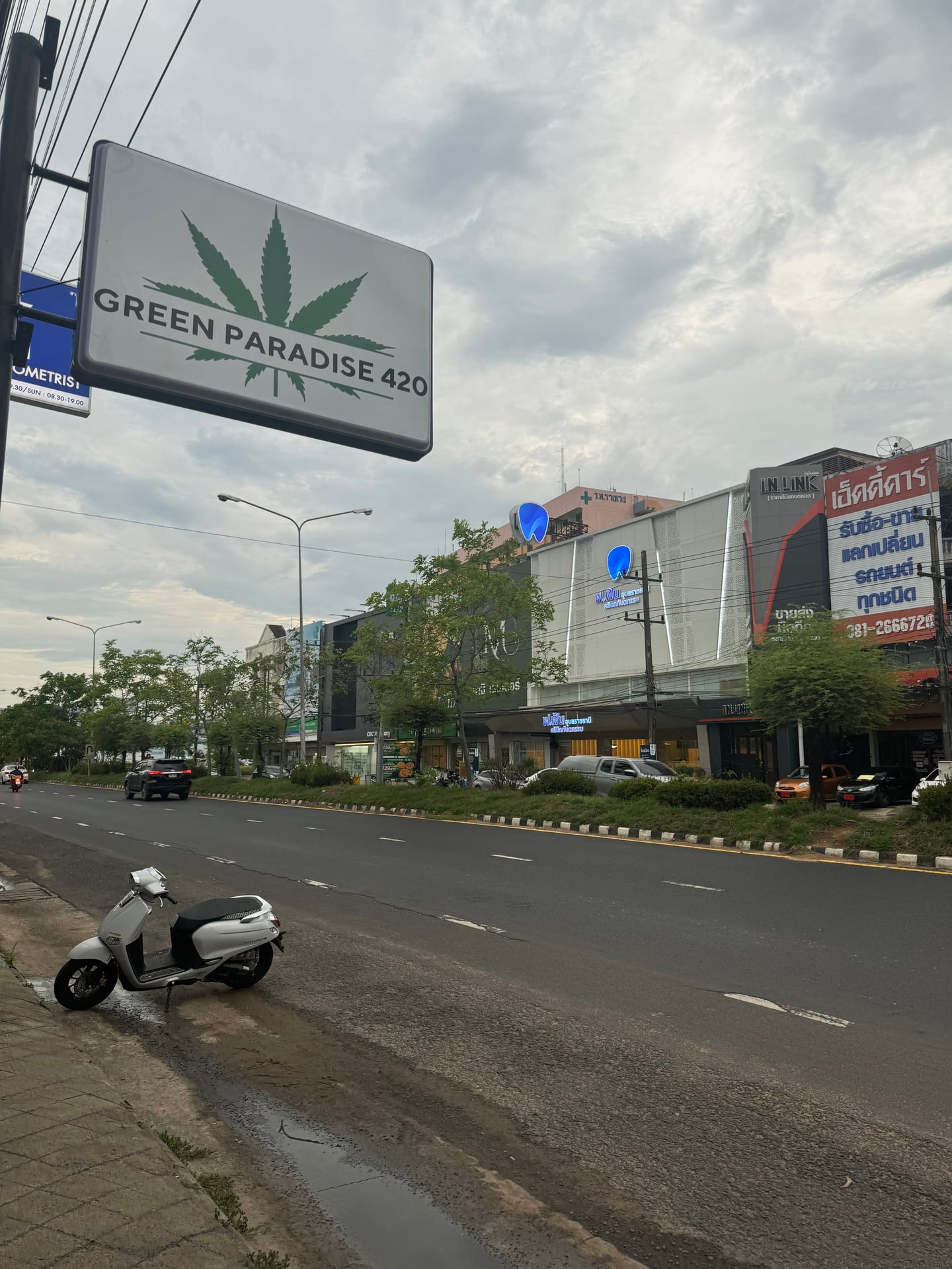 Green Paradise420