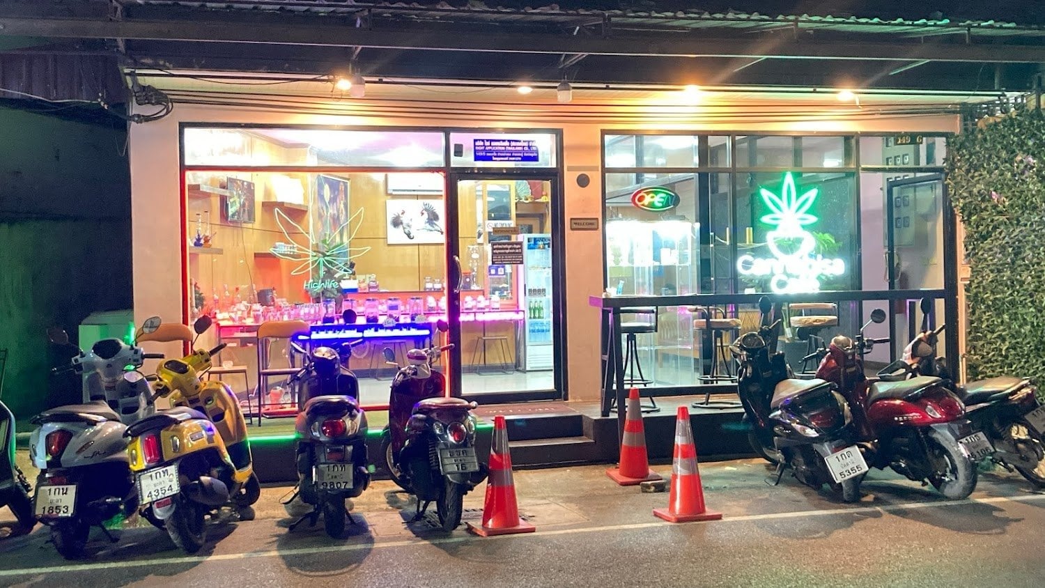 Coffee Shop Cannabisa Cafe Weed