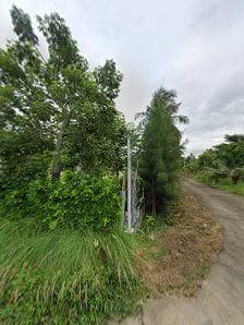 THC Tree Home Community