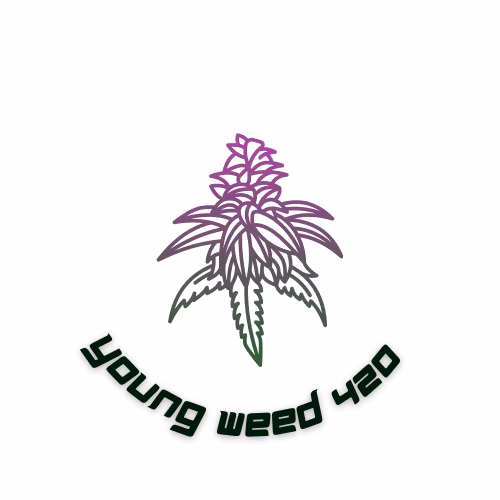 Cannabis Social Club Youngweed420BKK logo