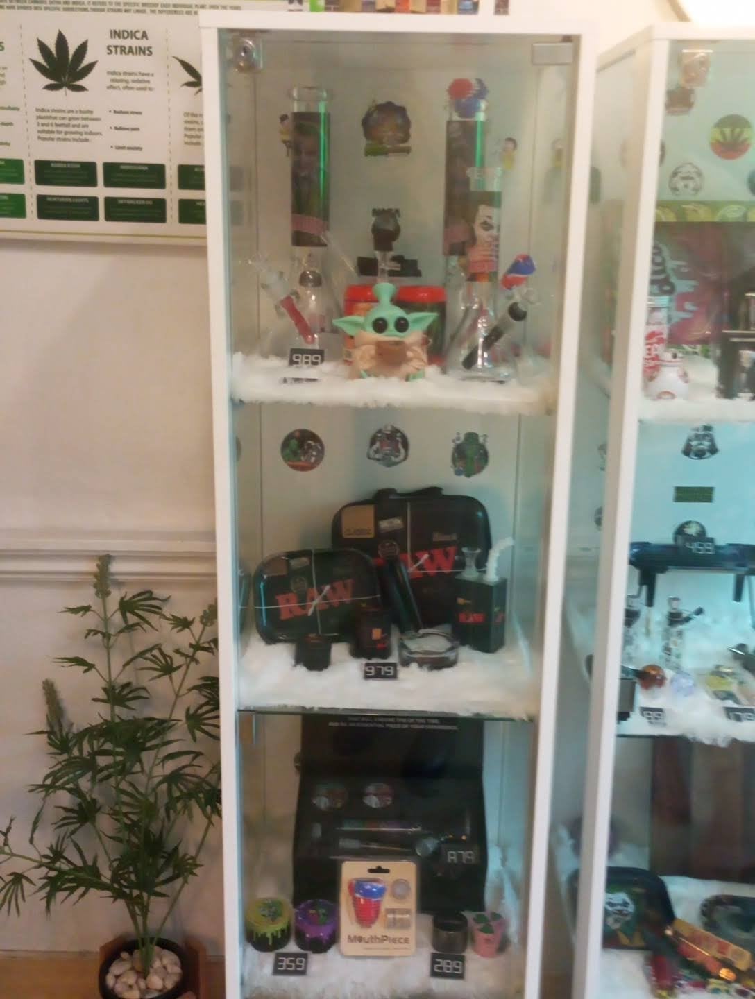 By Moon Light Cannabis Hatyai