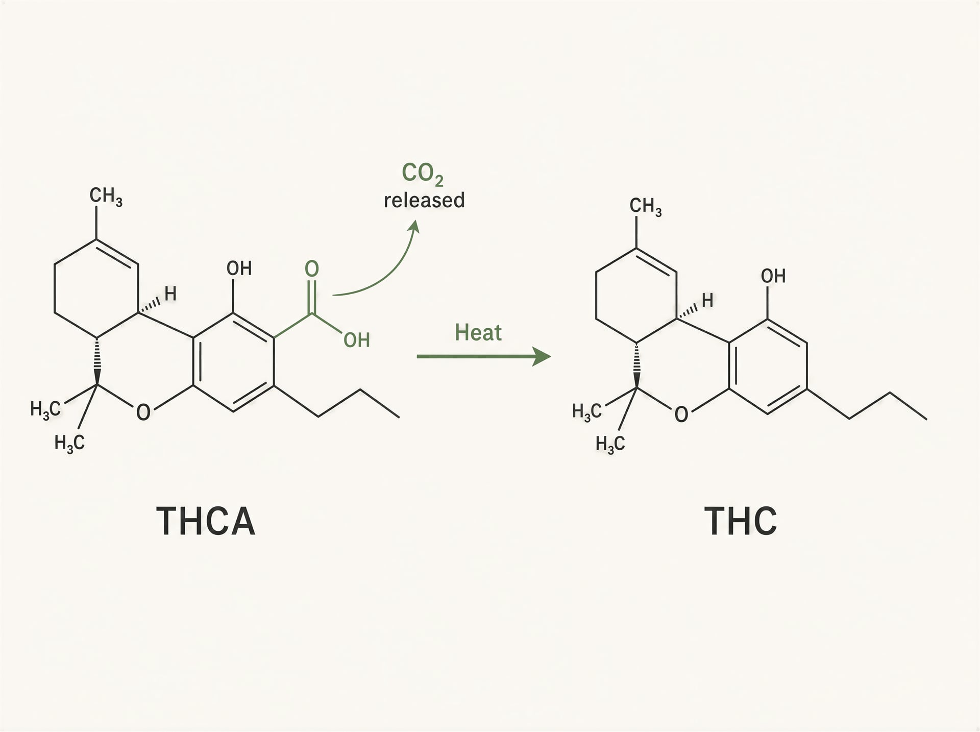 Diagram of THCA converting to THC and releasing carbon dioxide during decarboxylation