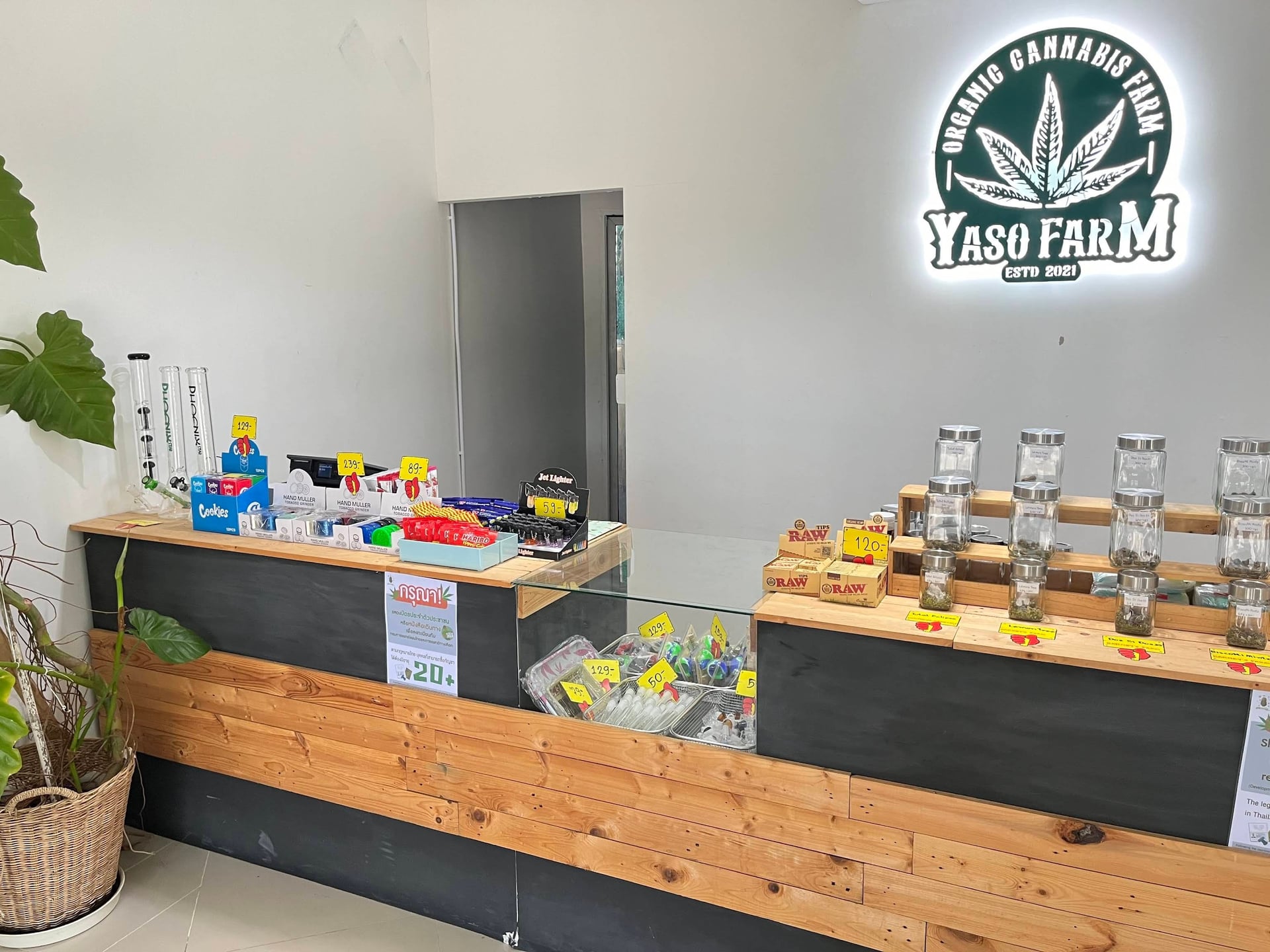 Yaso Farm Roi-et