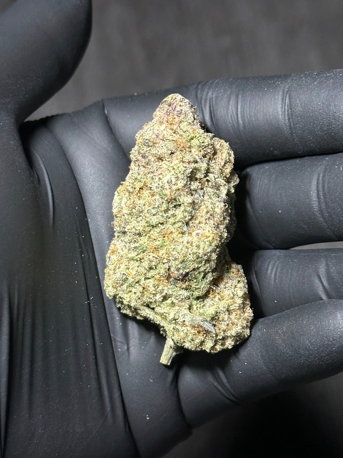 Budsaba Wake N Baked