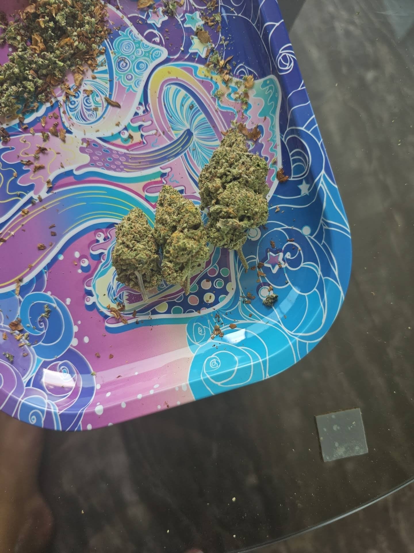 Thaiexotics.com