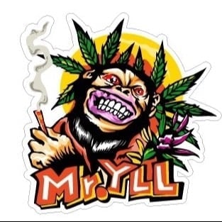 Mr.YLL5