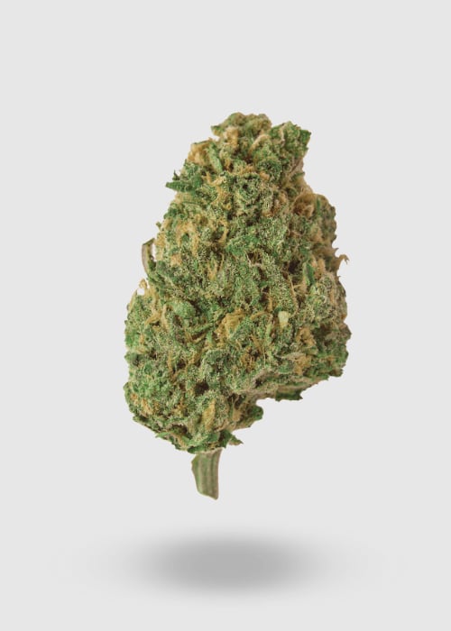 Climax Cannabis