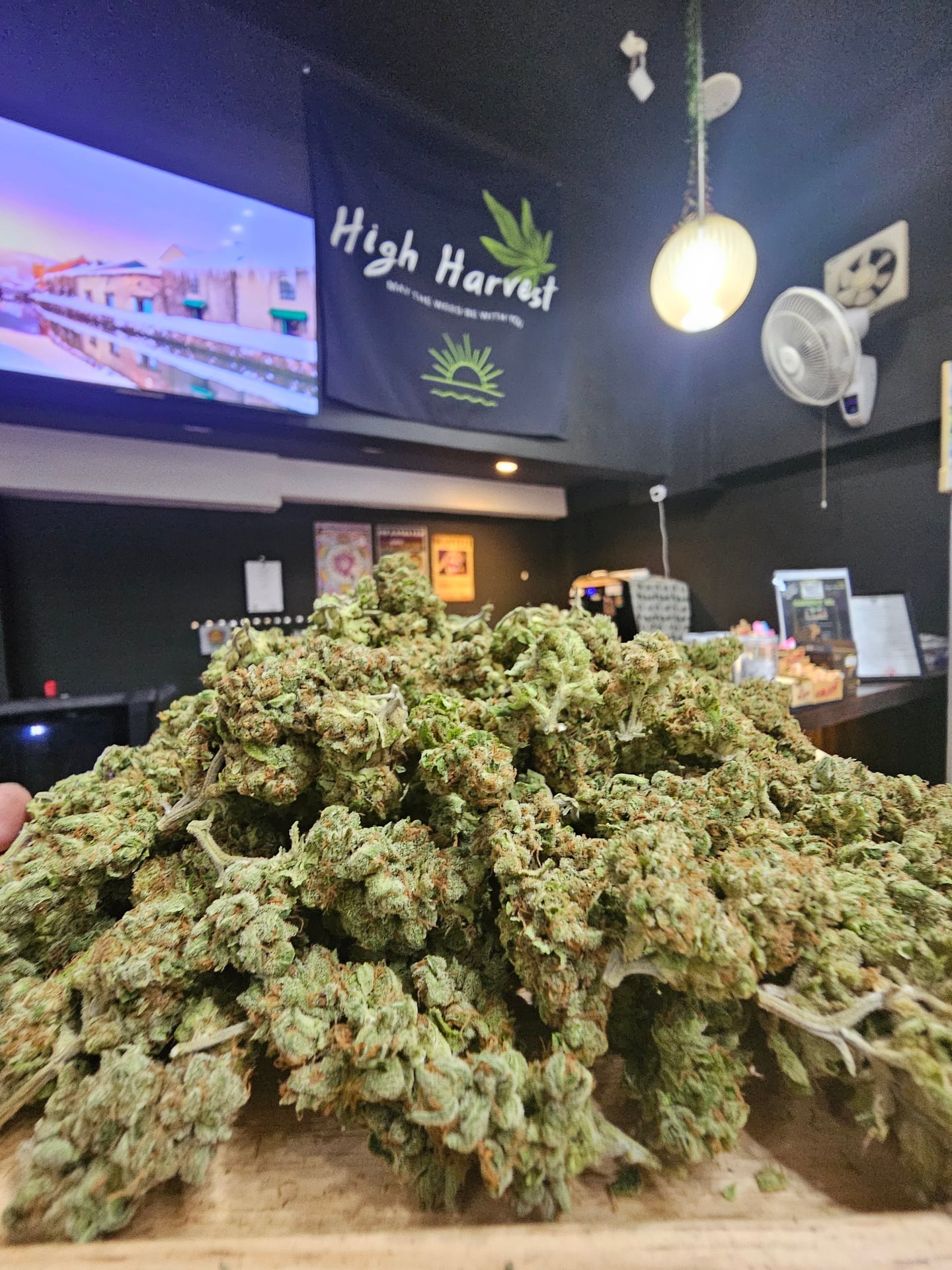 High Harvest