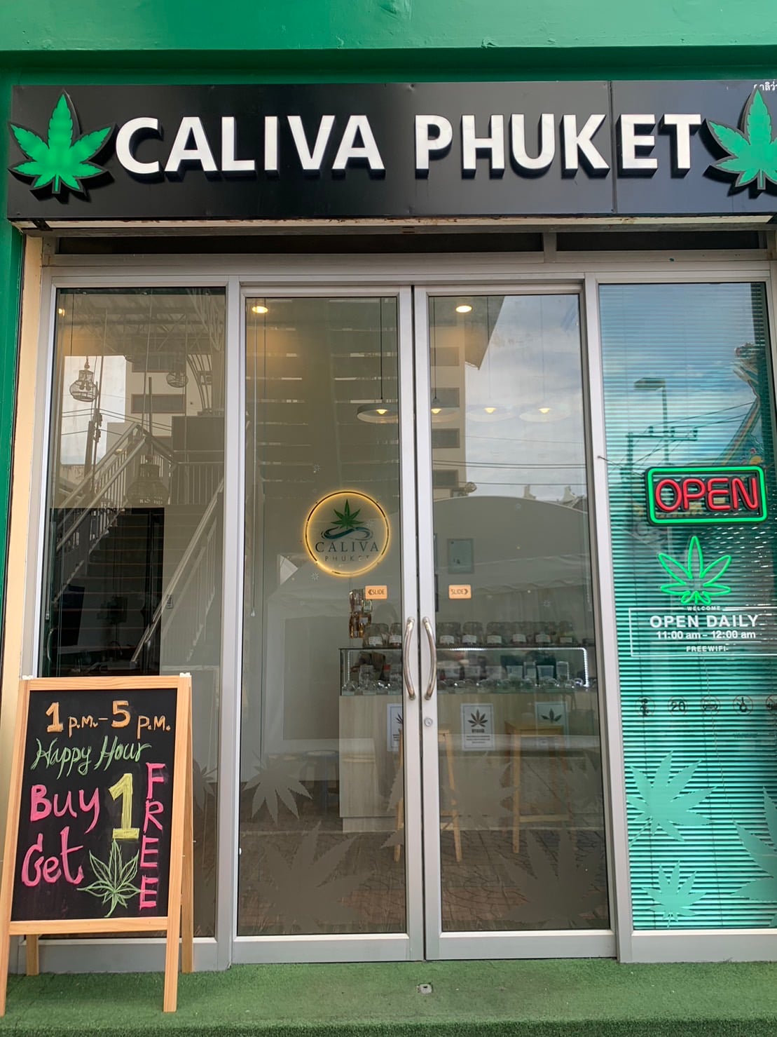 Cannabis Phuket Bulldog