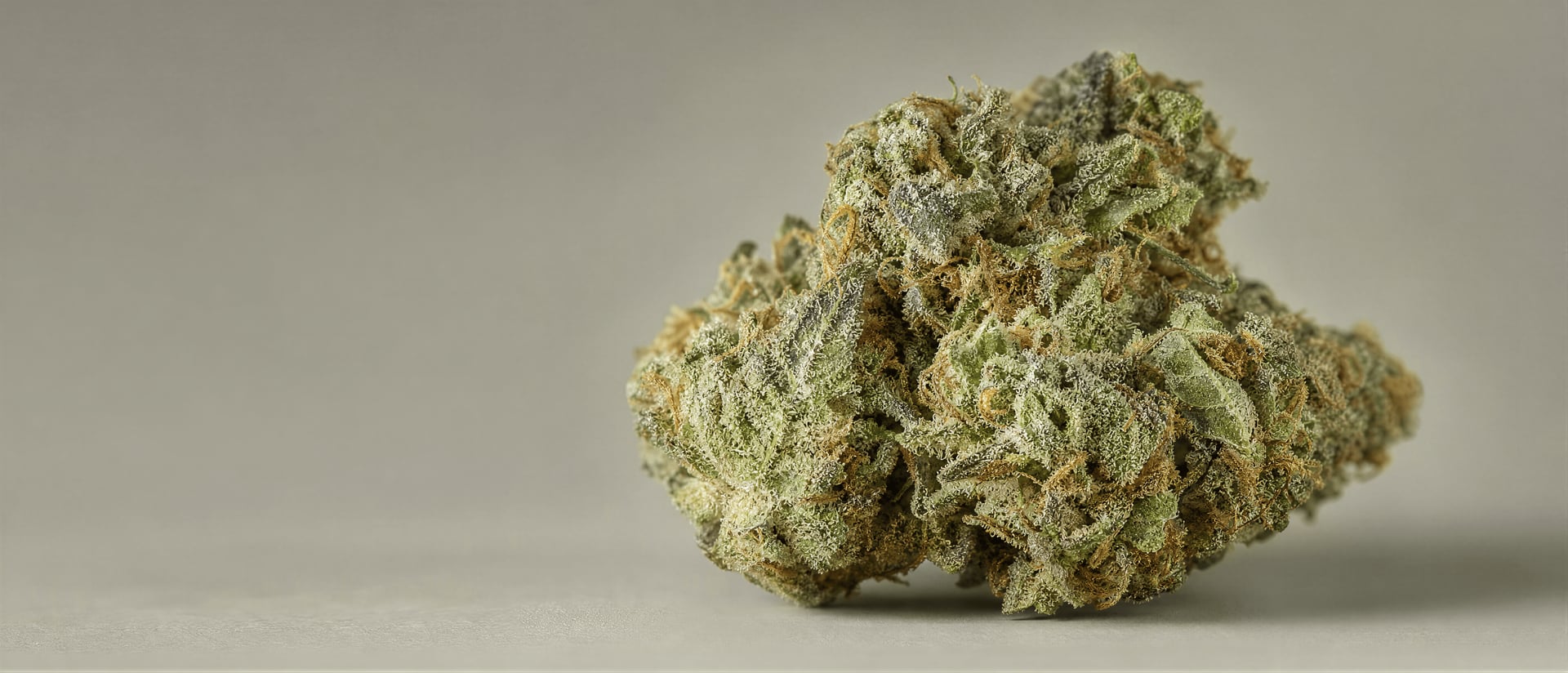 Terpén Geraniol v cannabis: účinky a důkazy