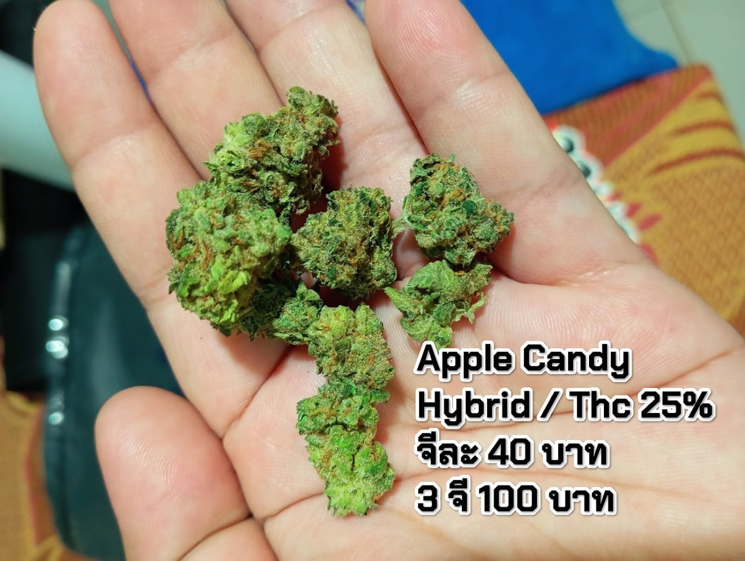 Bigbear Cannabis