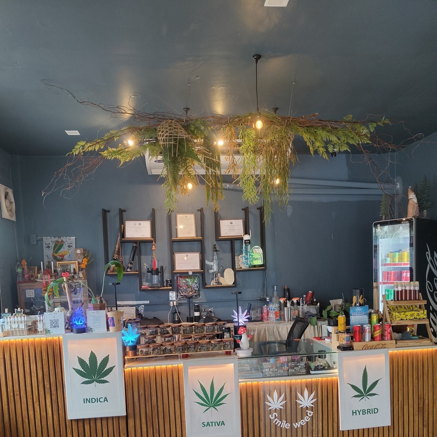 Smile Weed Kamala Phuket