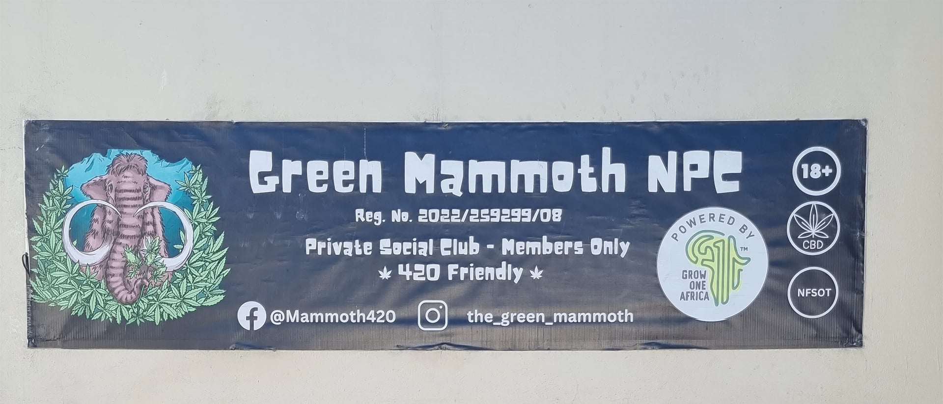 Green Mammoth NPC hero