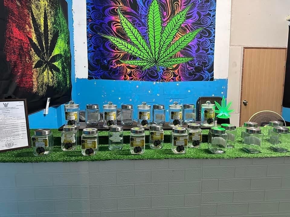 Good Cheap Weed Koh Samui