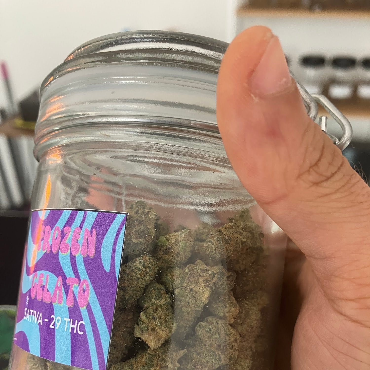 Smoking Cat Weed