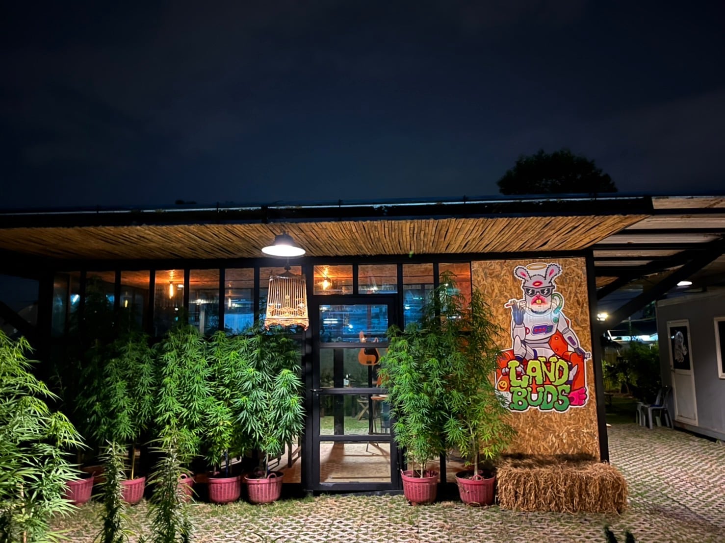 LandBuds